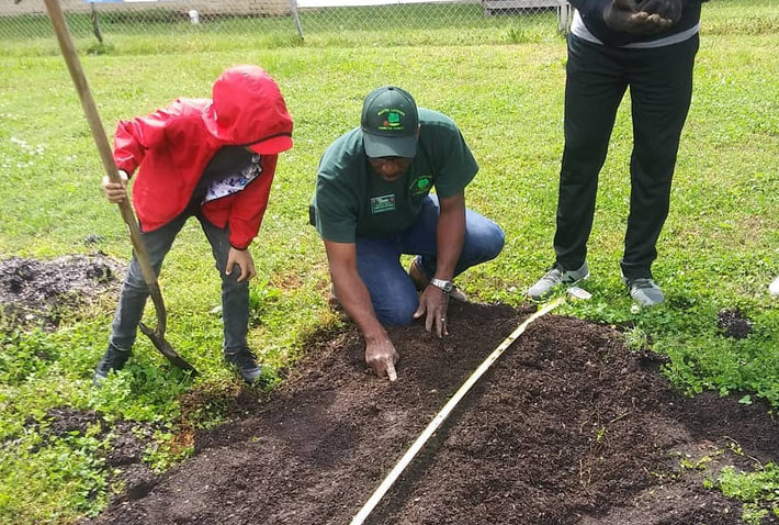 community-garden-spring-2019-04