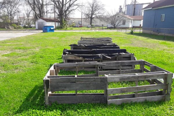 community-garden-2017-02