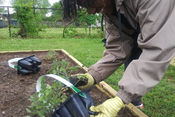 community-garden-spring-2019-03